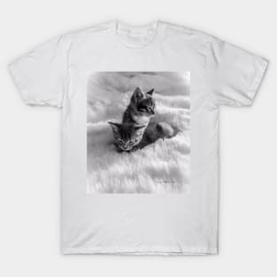 Cat's In The Cradle - Art 2 T-Shirt